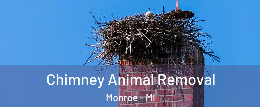  Chimney Animal Removal Monroe - MI
