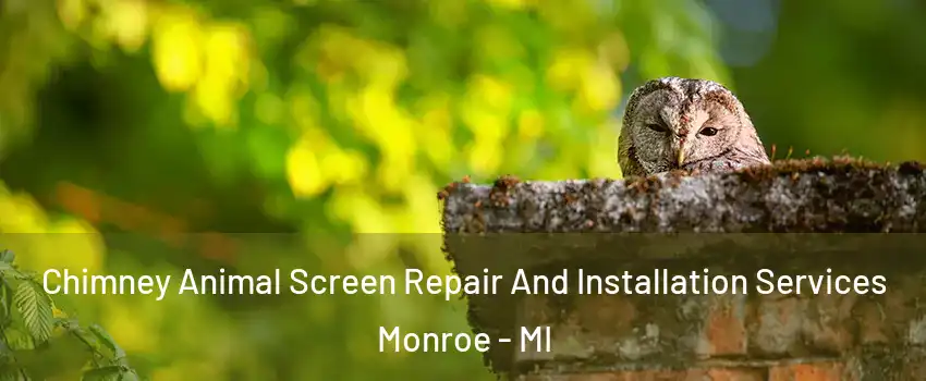  Chimney Animal Screen Repair And Installation Services Monroe - MI