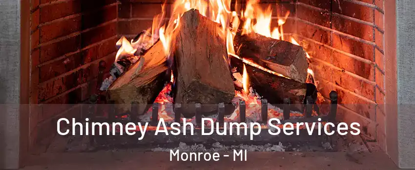  Chimney Ash Dump Services Monroe - MI