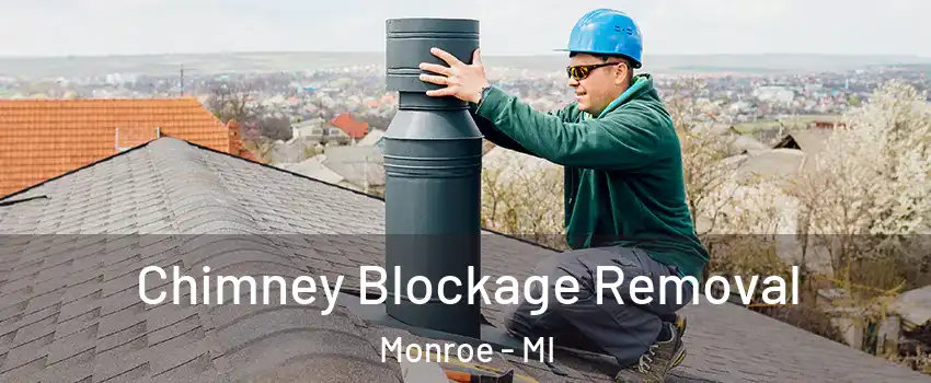  Chimney Blockage Removal Monroe - MI