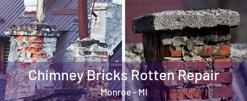  Chimney Bricks Rotten Repair Monroe - MI