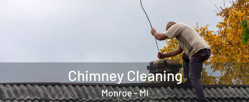  Chimney Cleaning Monroe - MI