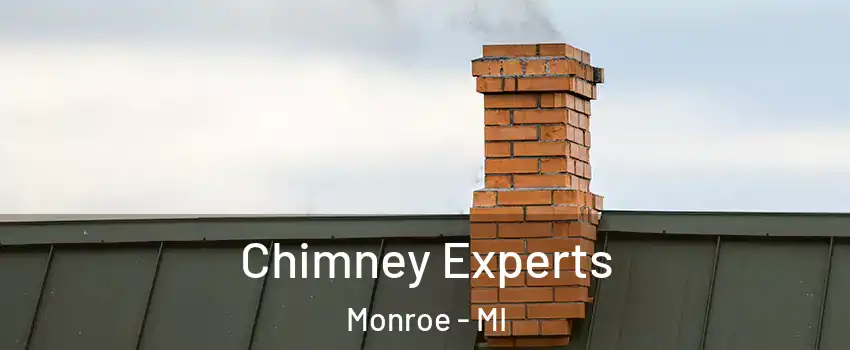 Chimney Experts Monroe - MI