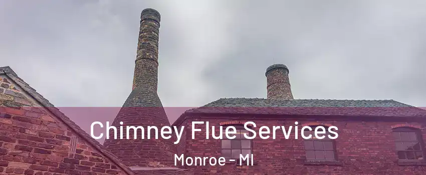  Chimney Flue Services Monroe - MI