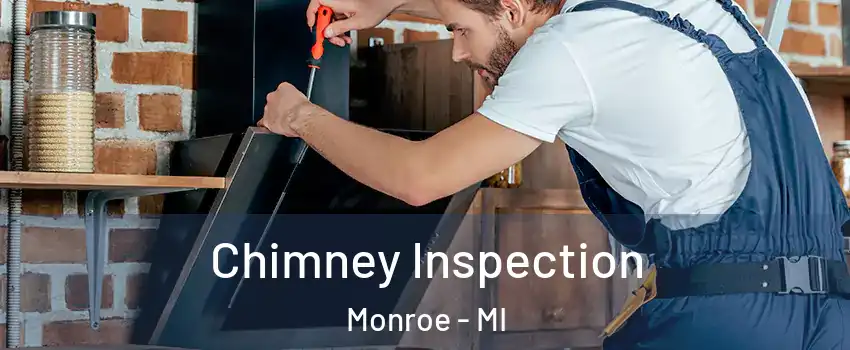 Chimney Inspection Monroe - MI