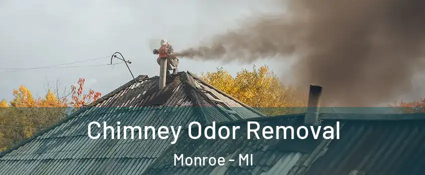  Chimney Odor Removal Monroe - MI