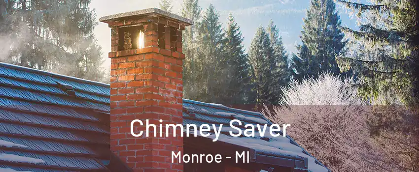  Chimney Saver Monroe - MI