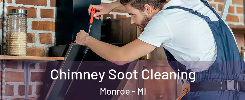  Chimney Soot Cleaning Monroe - MI