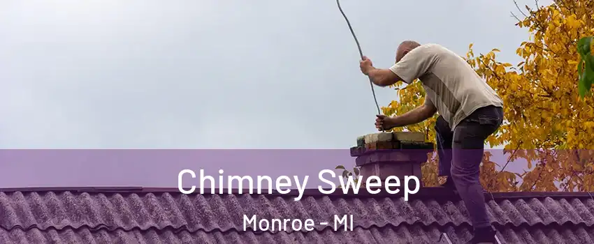  Chimney Sweep Monroe - MI