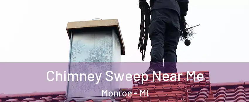  Chimney Sweep Near Me Monroe - MI