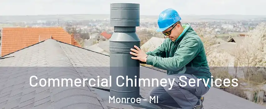  Commercial Chimney Services Monroe - MI