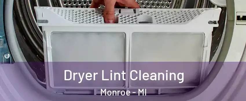  Dryer Lint Cleaning Monroe - MI