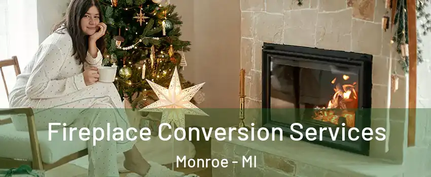  Fireplace Conversion Services Monroe - MI