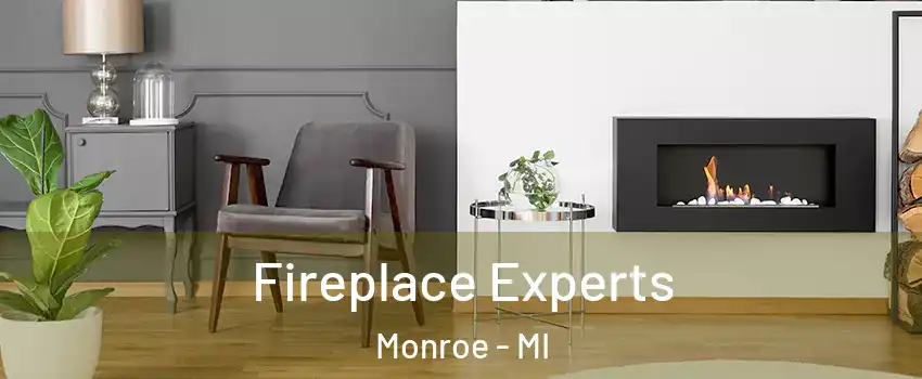  Fireplace Experts Monroe - MI