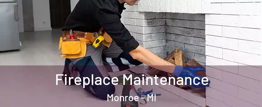  Fireplace Maintenance Monroe - MI