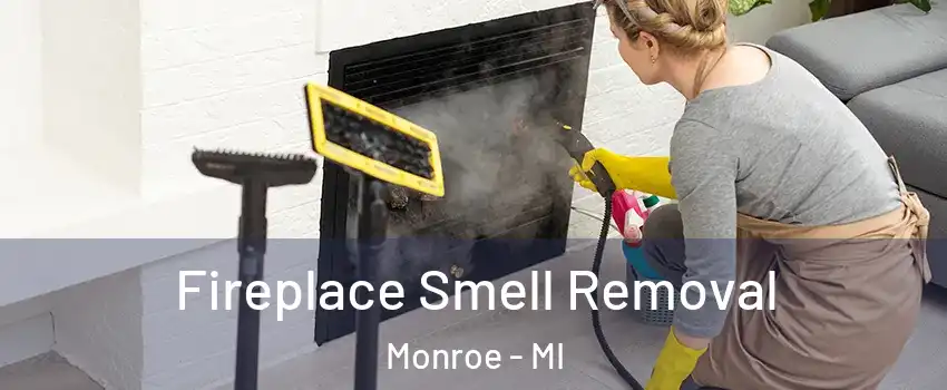  Fireplace Smell Removal Monroe - MI