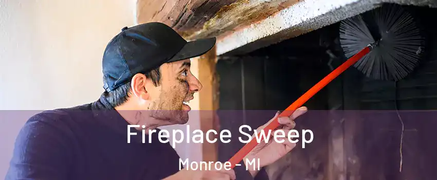  Fireplace Sweep Monroe - MI