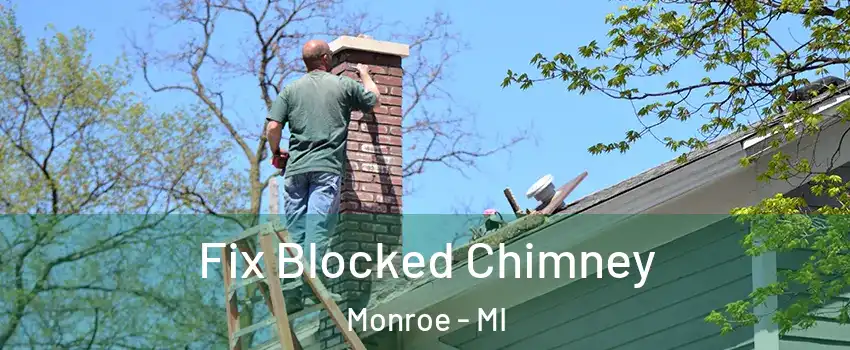  Fix Blocked Chimney Monroe - MI