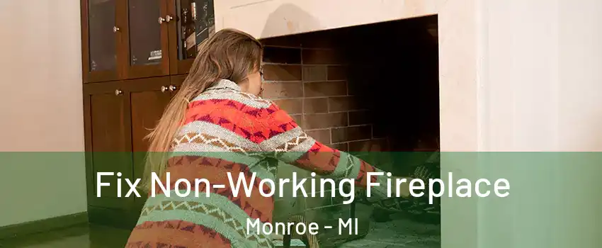  Fix Non-Working Fireplace Monroe - MI