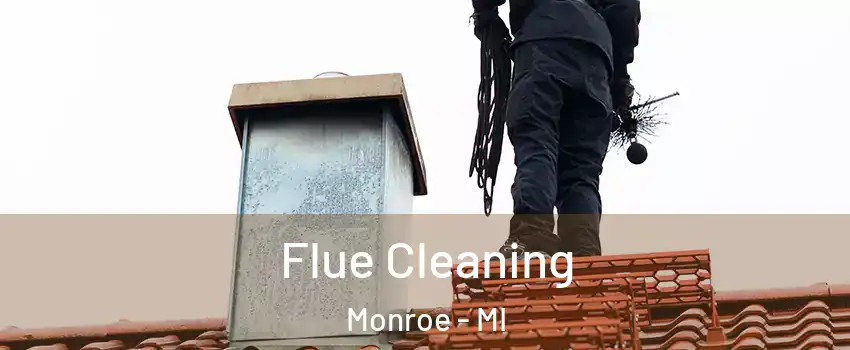  Flue Cleaning Monroe - MI