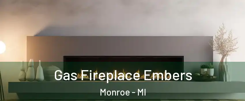  Gas Fireplace Embers Monroe - MI