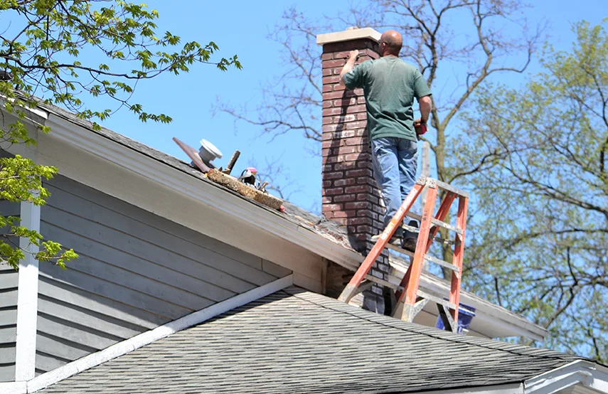 Chimney & Fireplace Inspections Services in Monroe, MI