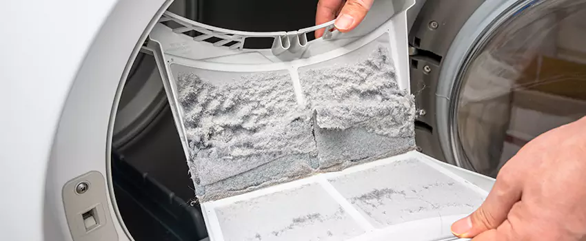 Best Dryer Lint Removal Company in Monroe, Michigan