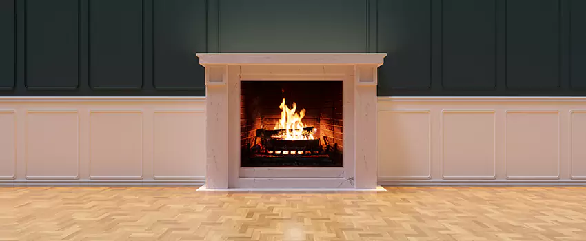 Napoleon Electric Fireplaces Inspection Service in Monroe, Michigan