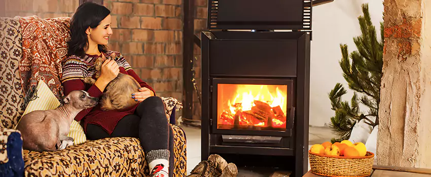 Wood Stove Chimney Cleaning Services in Monroe, MI