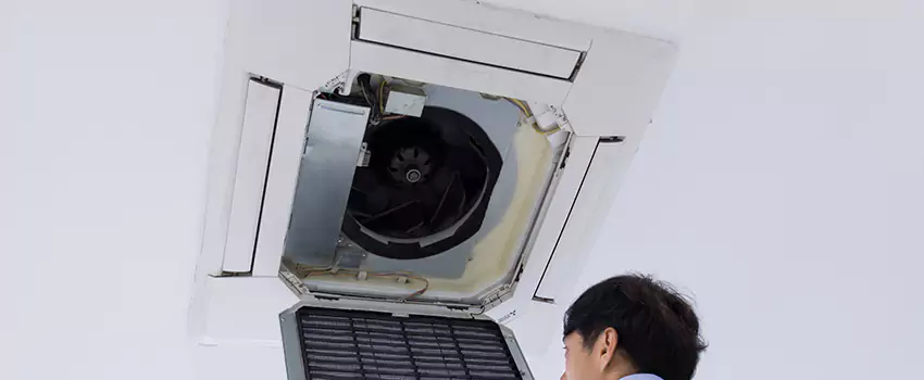 Benefits of Professional Air Duct Cleaning in Monroe, Michigan