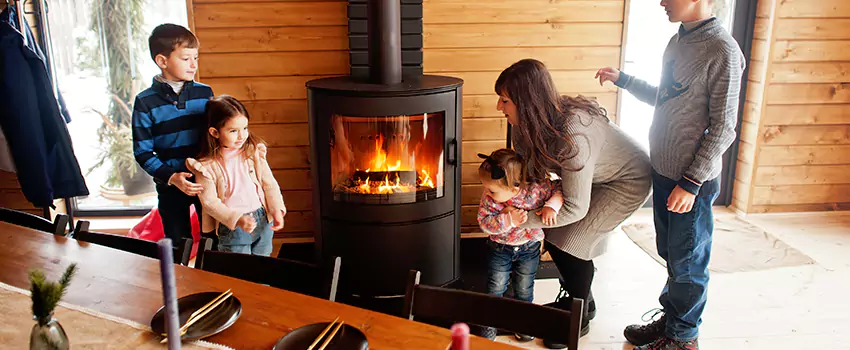 Jøtul Gas Fireplace Inspection Service in Monroe, Michigan