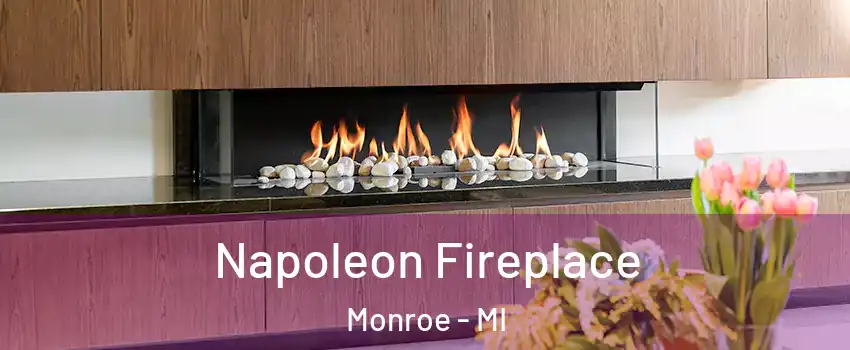  Napoleon Fireplace Monroe - MI