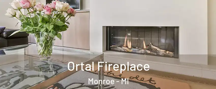  Ortal Fireplace Monroe - MI