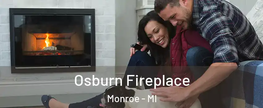 Osburn Fireplace Monroe - MI
