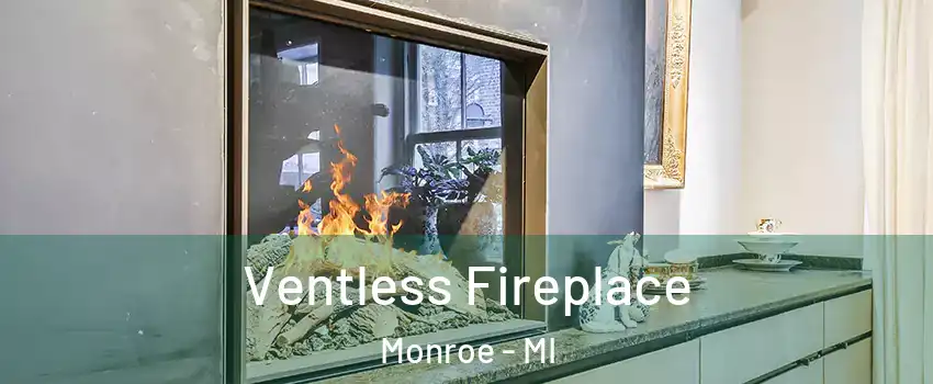  Ventless Fireplace Monroe - MI